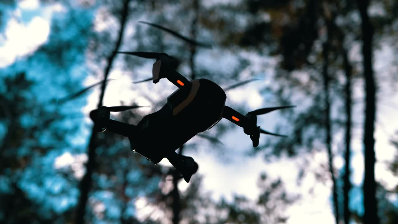 Stock Video Bottom View Of A Drone Hovering In The Woods Live Wallpaper For PC
