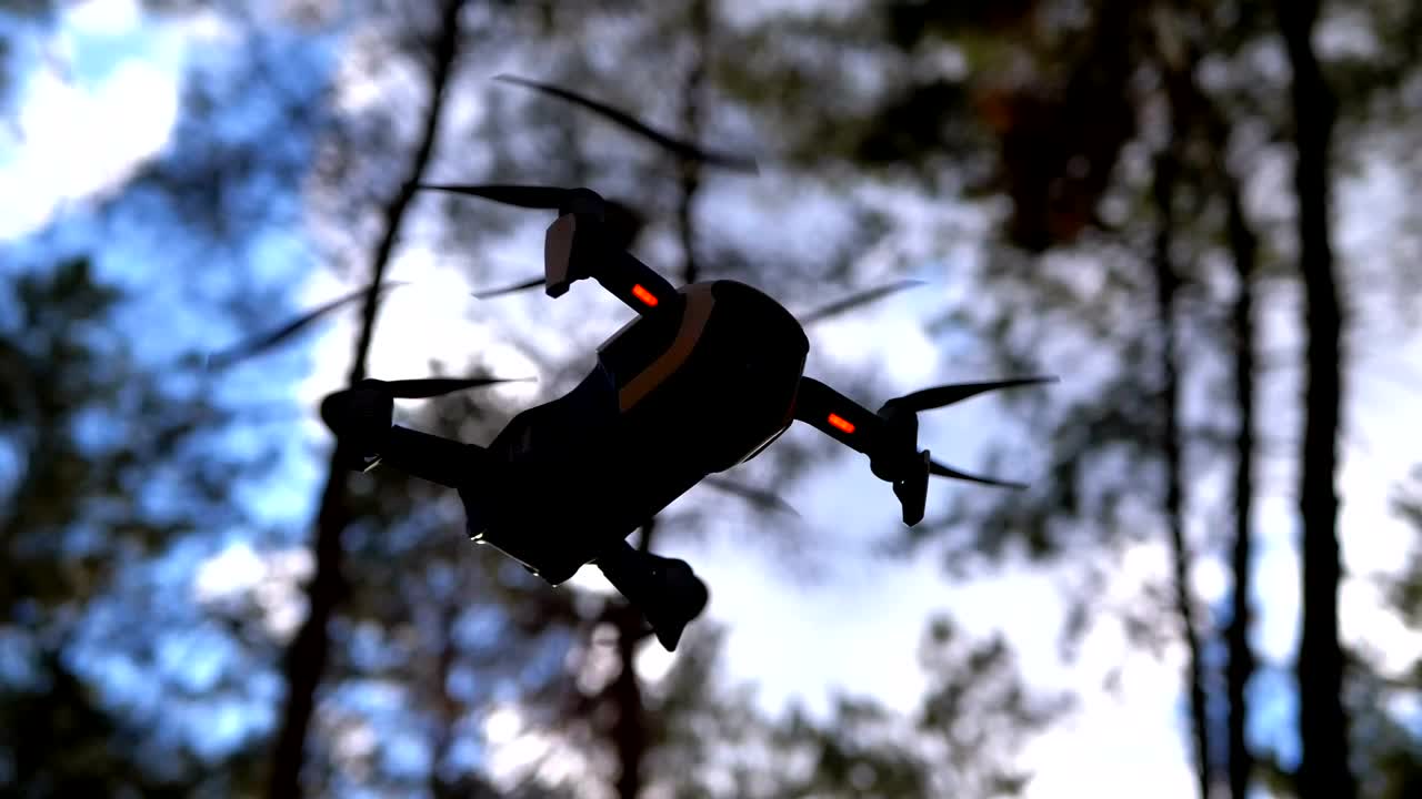 Stock Video Bottom Shot Of A Drone Hovering In The Woods Live Wallpaper For PC