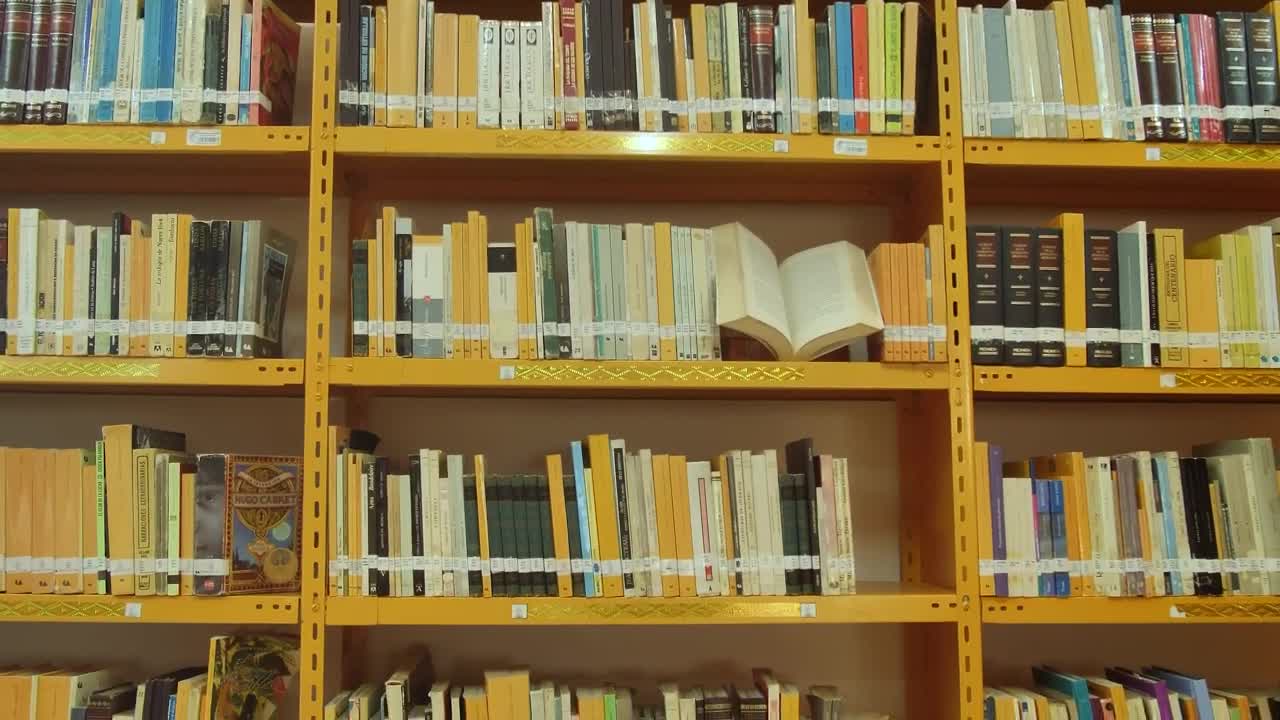Stock Video Bookcase Of A Library Seen In Detail Live Wallpaper For PC