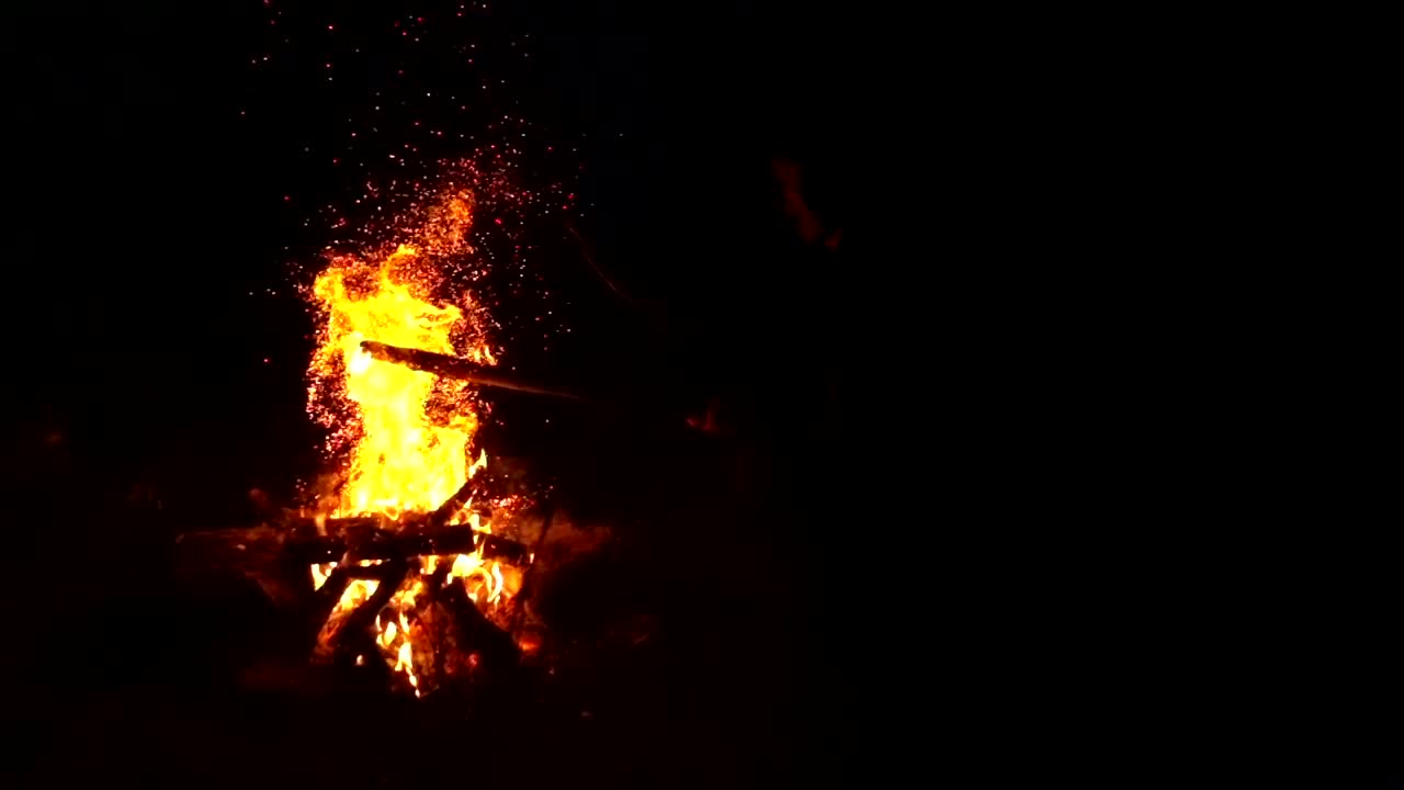 Stock Video Bonfire In The Dark Live Wallpaper For PC