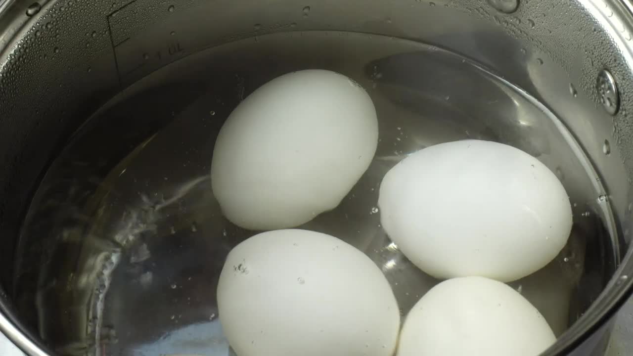 Stock Video Boiling White Eggs Live Wallpaper For PC