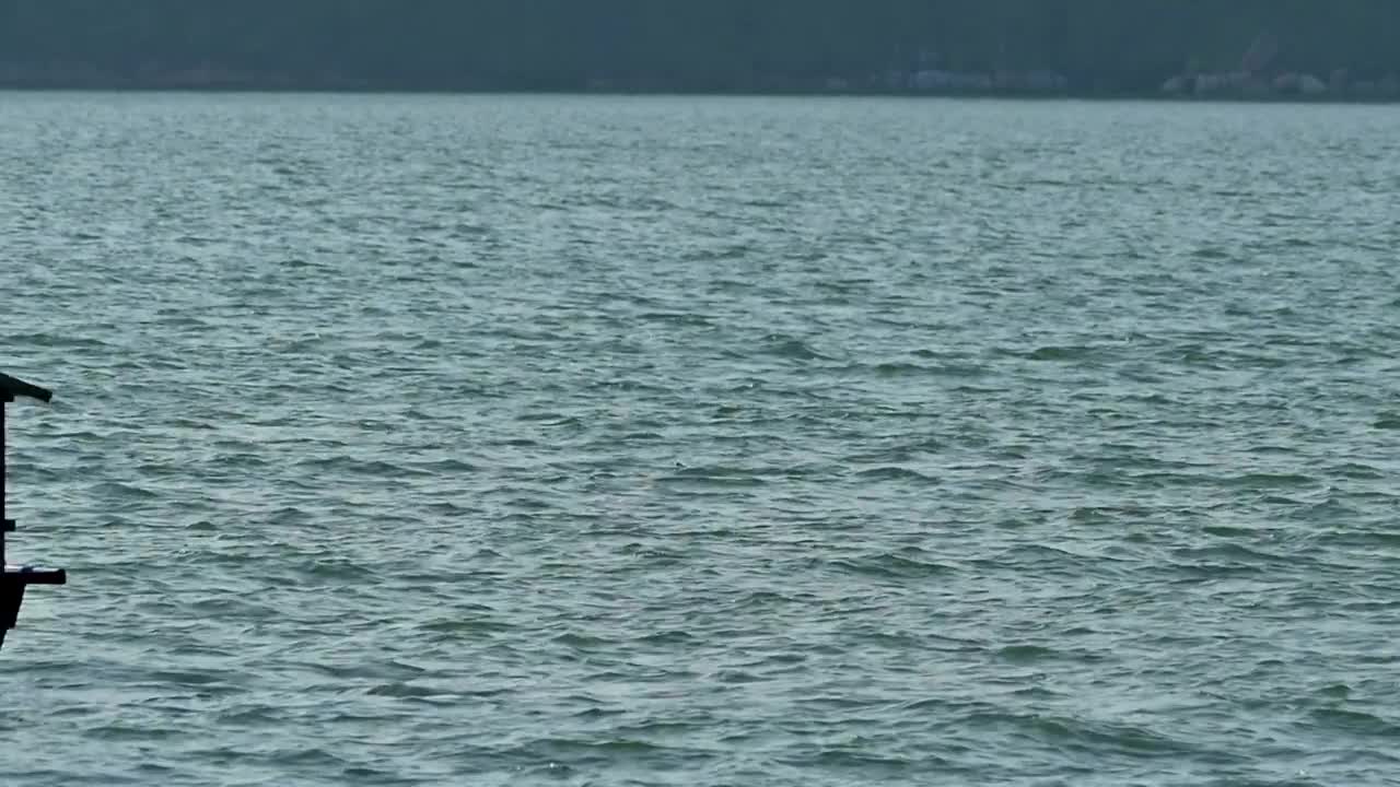 Stock Video Boats Rocking In Calm Water Live Wallpaper For PC