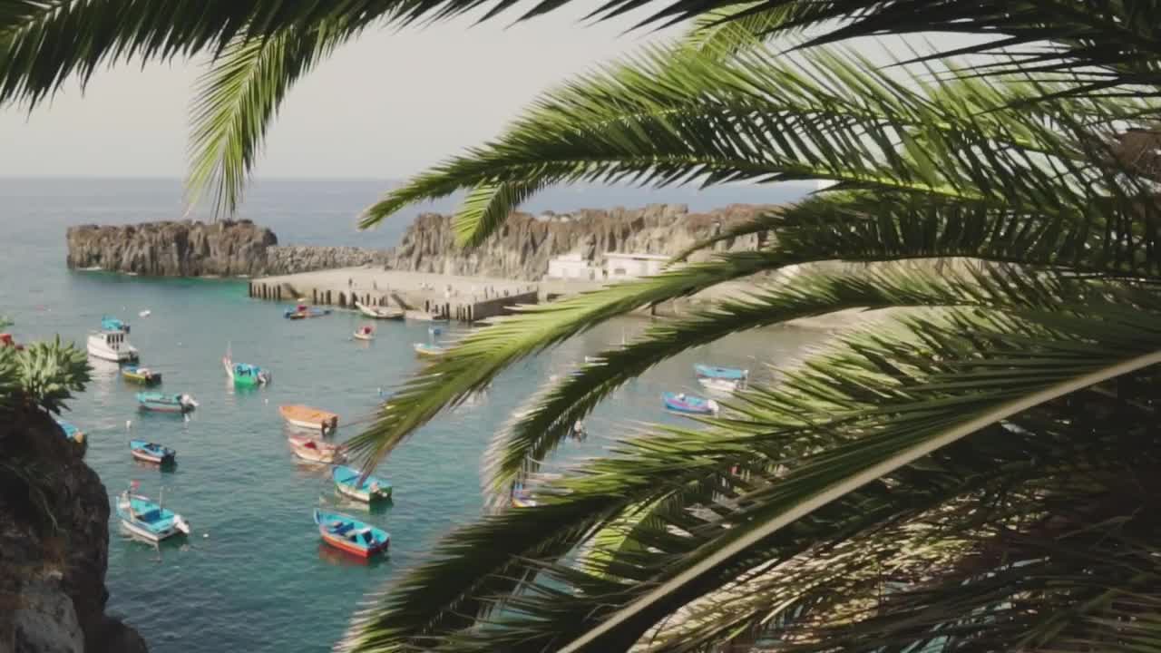 Stock Video Boats In The Seaport Of A Tourist Town Live Wallpaper For PC