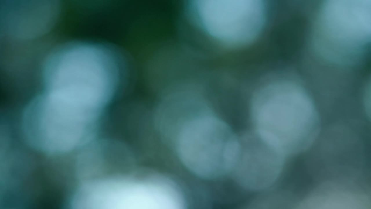 Stock Video Blurred Video Of Sky Light Passing Through A Tree Live Wallpaper For PC