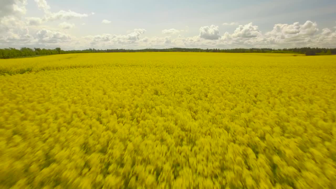 Stock Video Blue Sky And Fields Live Wallpaper For PC