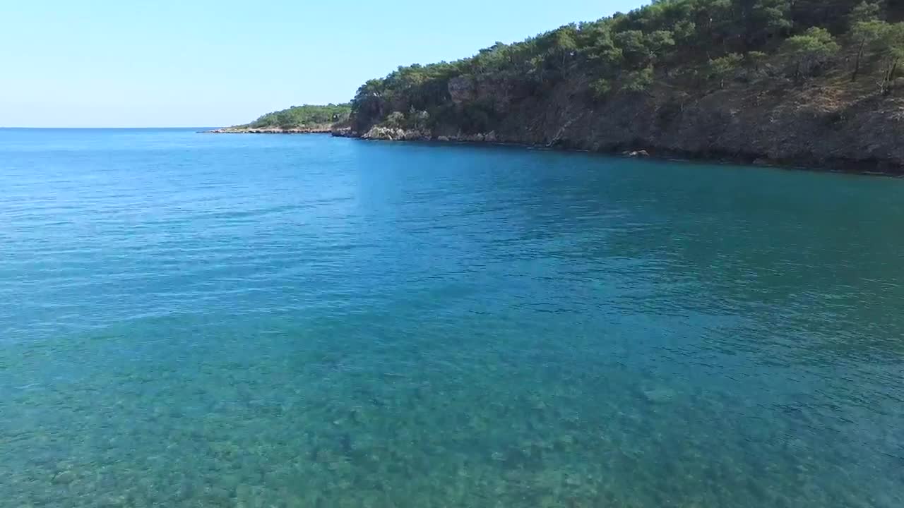 Stock Video Blue Sea And Forest Live Wallpaper For PC