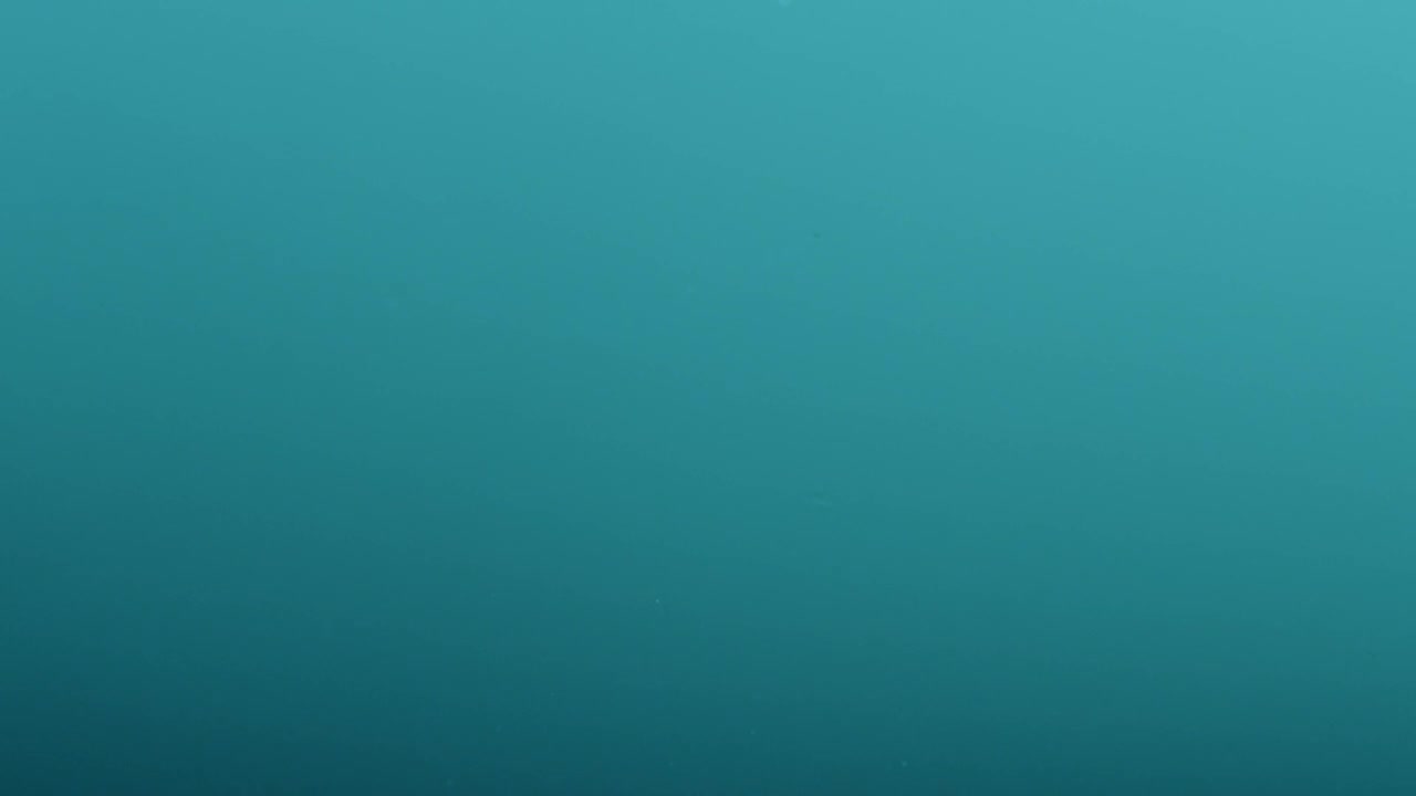 Stock Video Blue Drop Into Liquid Live Wallpaper For PC
