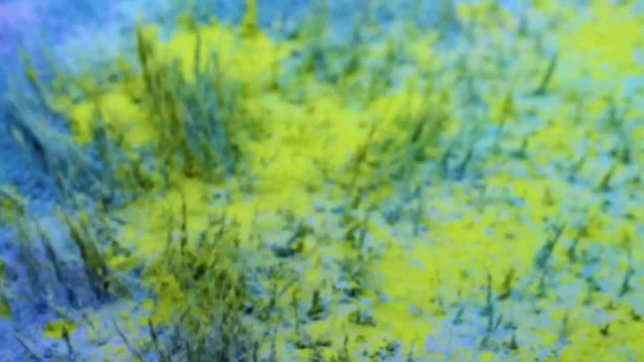 Stock Video Blue And Yellow Powder Live Wallpaper For PC