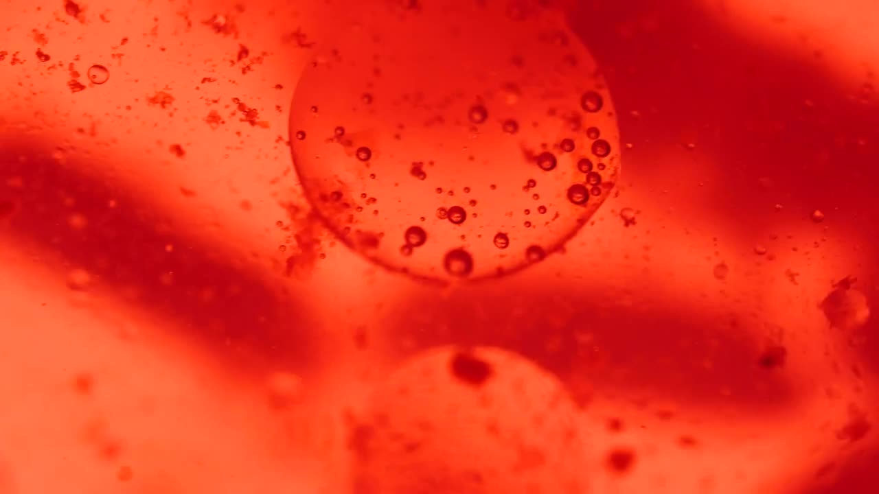 Stock Video Bloodstream Virus Live Wallpaper For PC