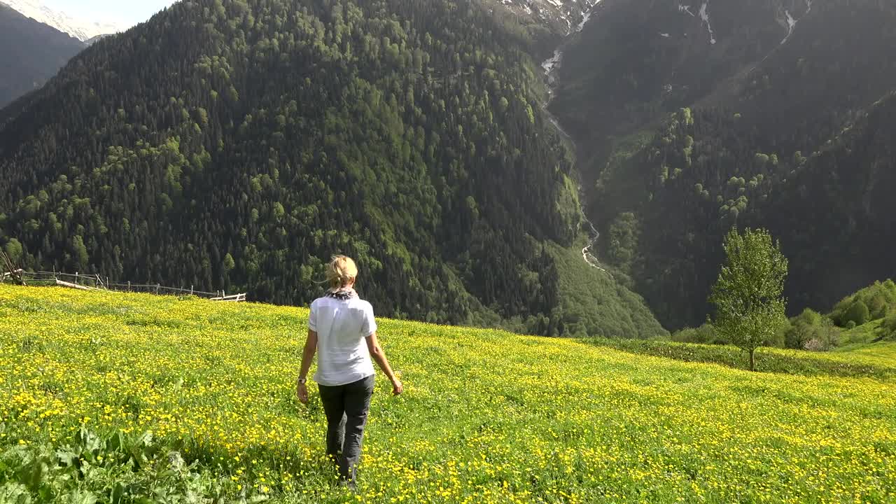 Stock Video Blonde Woman Walking In A Flower Field In The Mountain Live Wallpaper For PC