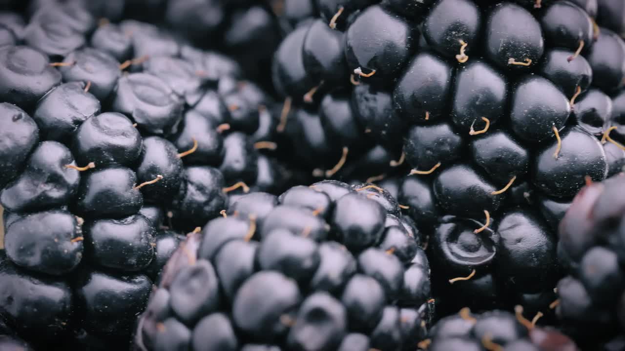 Stock Video Blackberries In Detail Live Wallpaper For PC