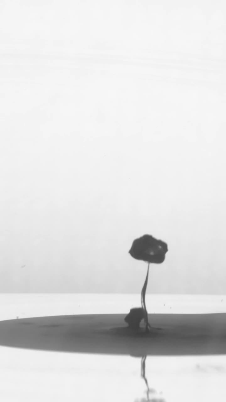 Stock Video Black Ink Shot Underwater Live Wallpaper For PC