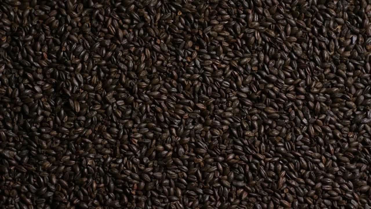 Stock Video Black Barley Rotating Live Wallpaper For PC