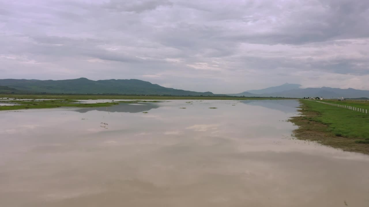 Stock Video Birds Flying Low Over A Lake In A Meadow Live Wallpaper For PC