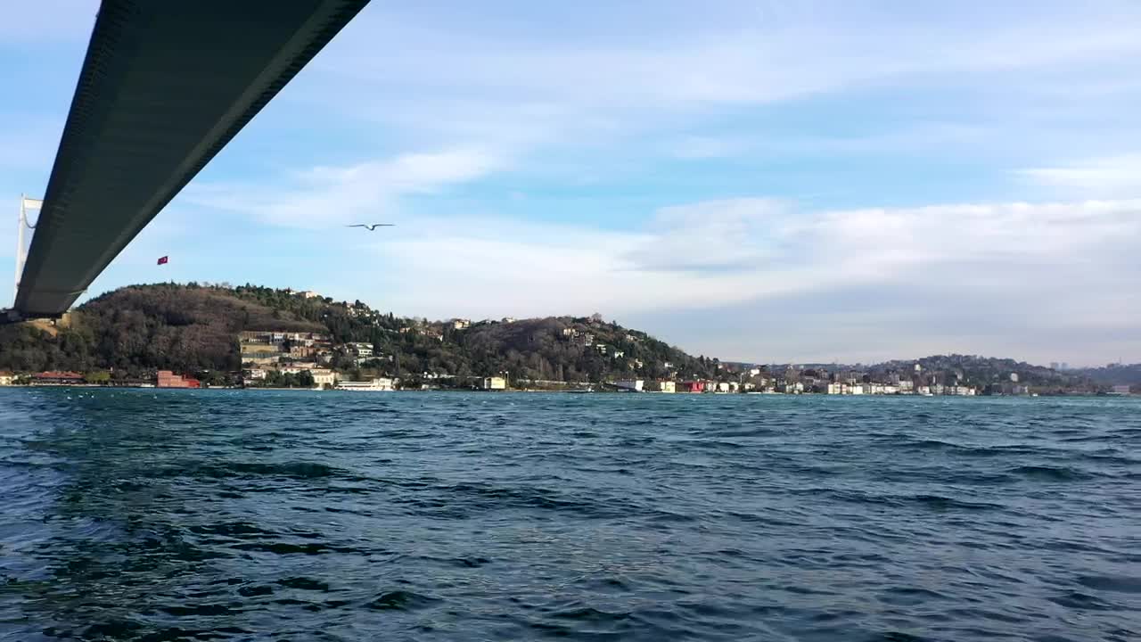 Stock Video Birds Flying Below A Bridge Live Wallpaper For PC