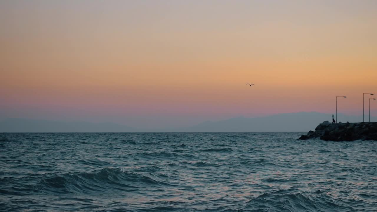 Stock Video Bird Flying Towards A Pier Live Wallpaper For PC