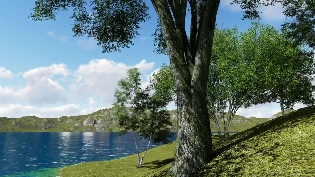 Stock Video Big Lake In A Forest In A Summer Day Live Wallpaper For PC