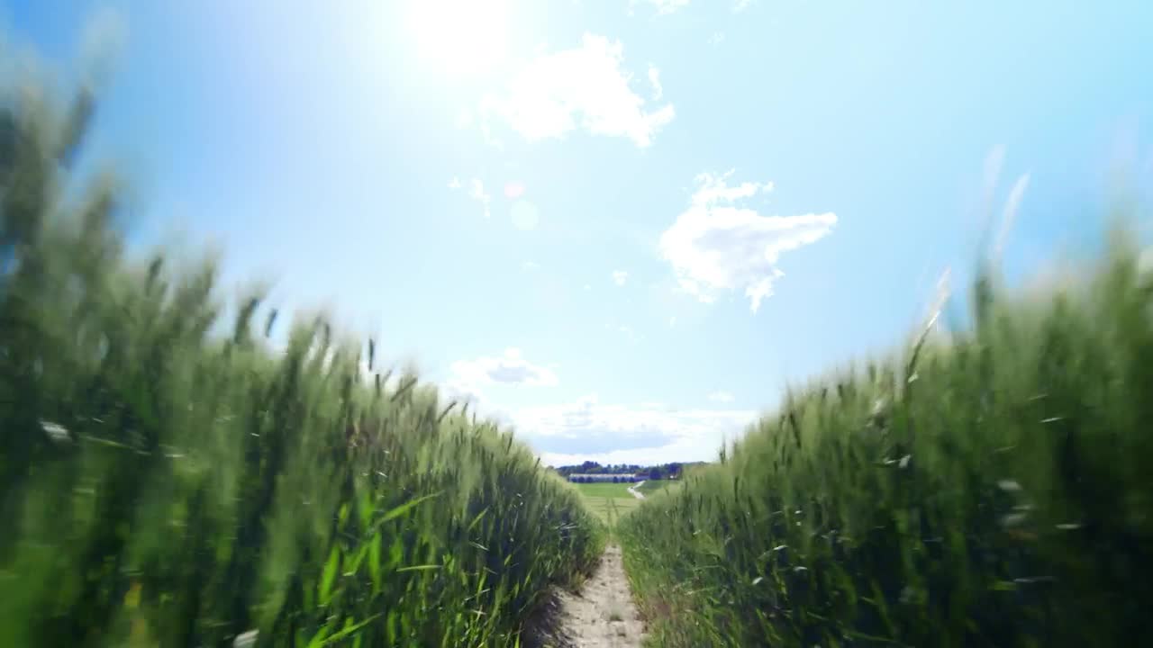 Stock Video Between Two Fields Live Wallpaper For PC