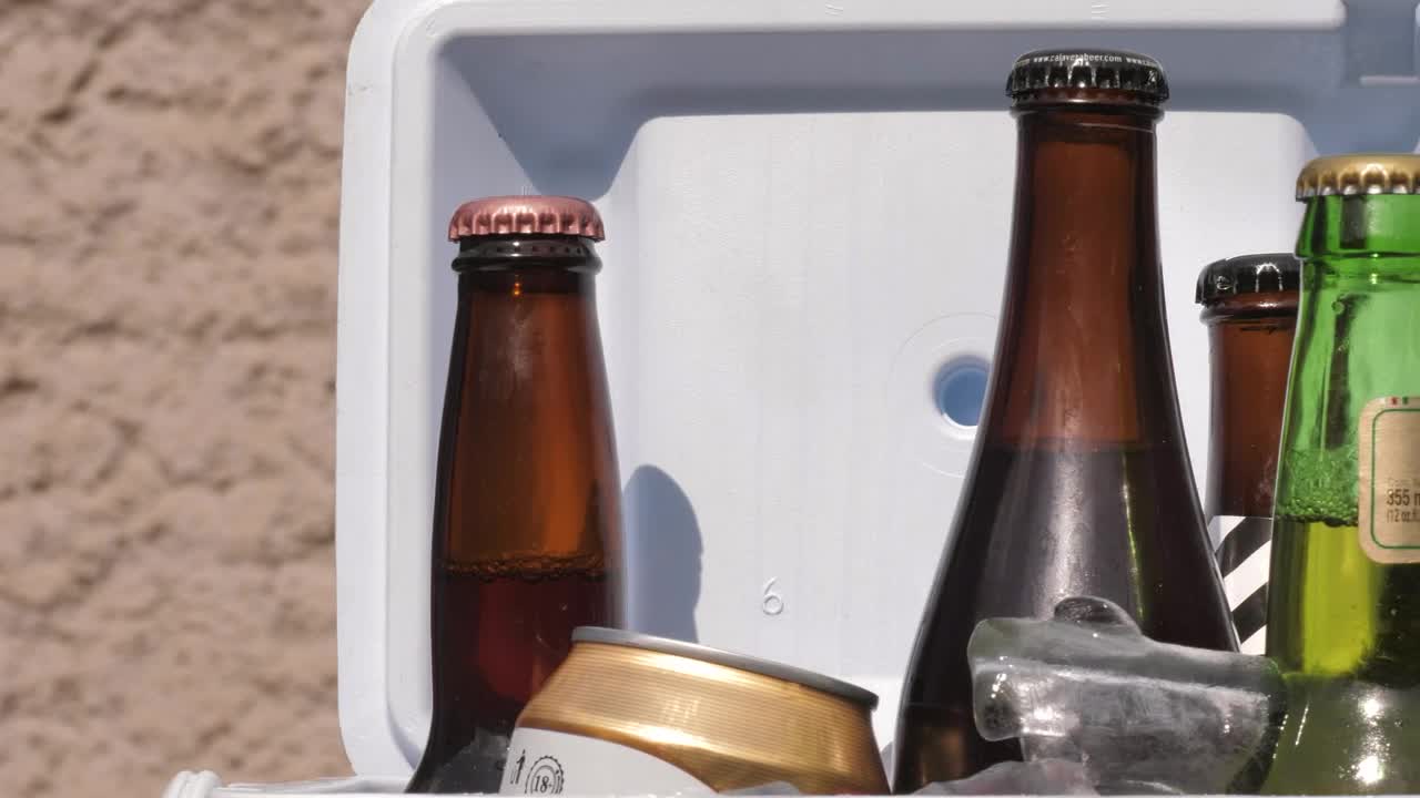 Stock Video Beers In A Small Cooler Live Wallpaper For PC