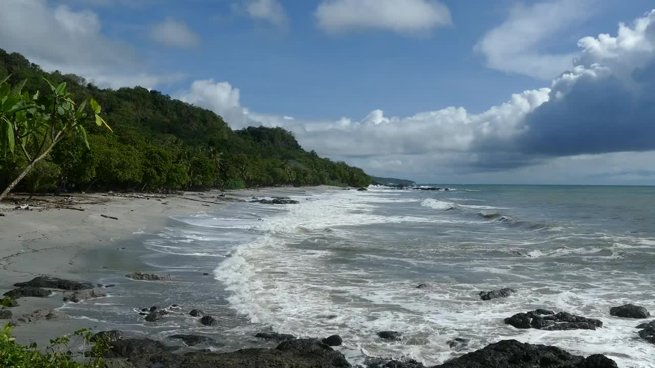 Stock Video Beautiful Tropical Beach And Jungle Live Wallpaper For PC