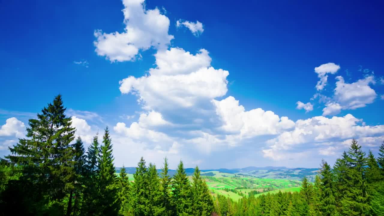 Stock Video Beautiful Summer Landscape In The Mountains Live Wallpaper For PC