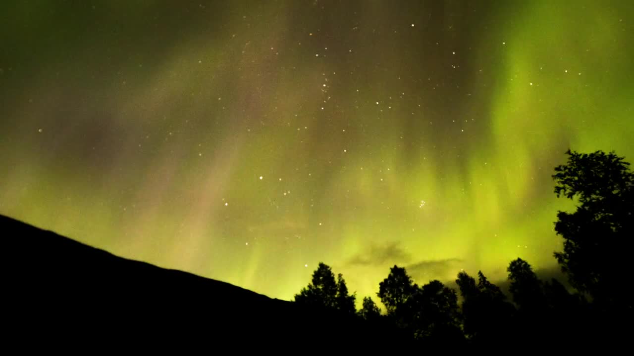 Stock Video Beautiful Northern Lights Of Yellow And Pink Tones Live Wallpaper For PC