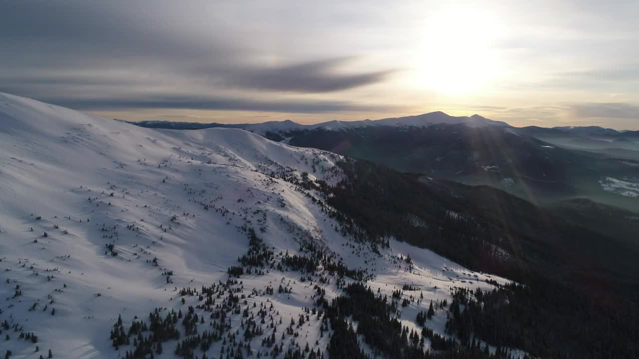 Stock Video Beautiful Landscape Of A Forest In The Mountains Live Wallpaper For PC
