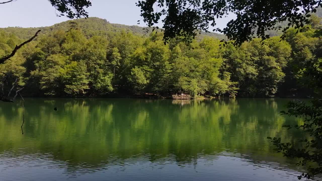 Stock Video Beautiful Lake In The Forest Near The Mountains Live Wallpaper For PC