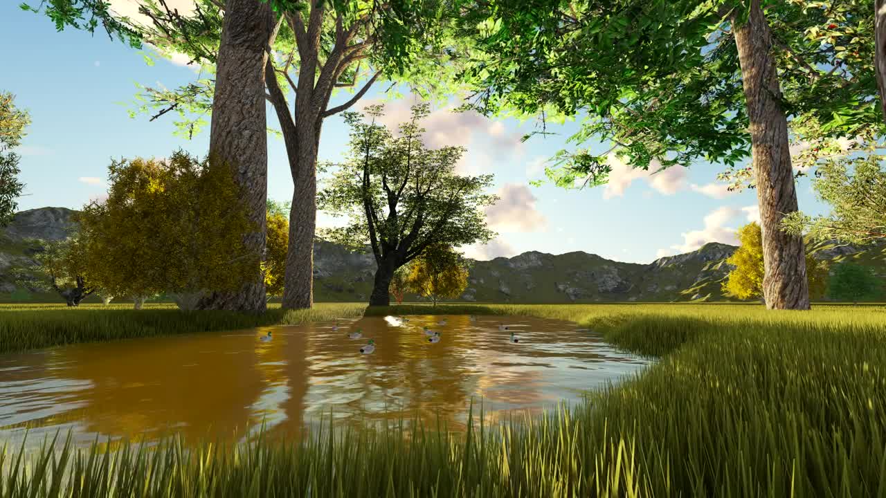 Stock Video Beautiful Lake In A Forest In Summer d Render Live Wallpaper For PC