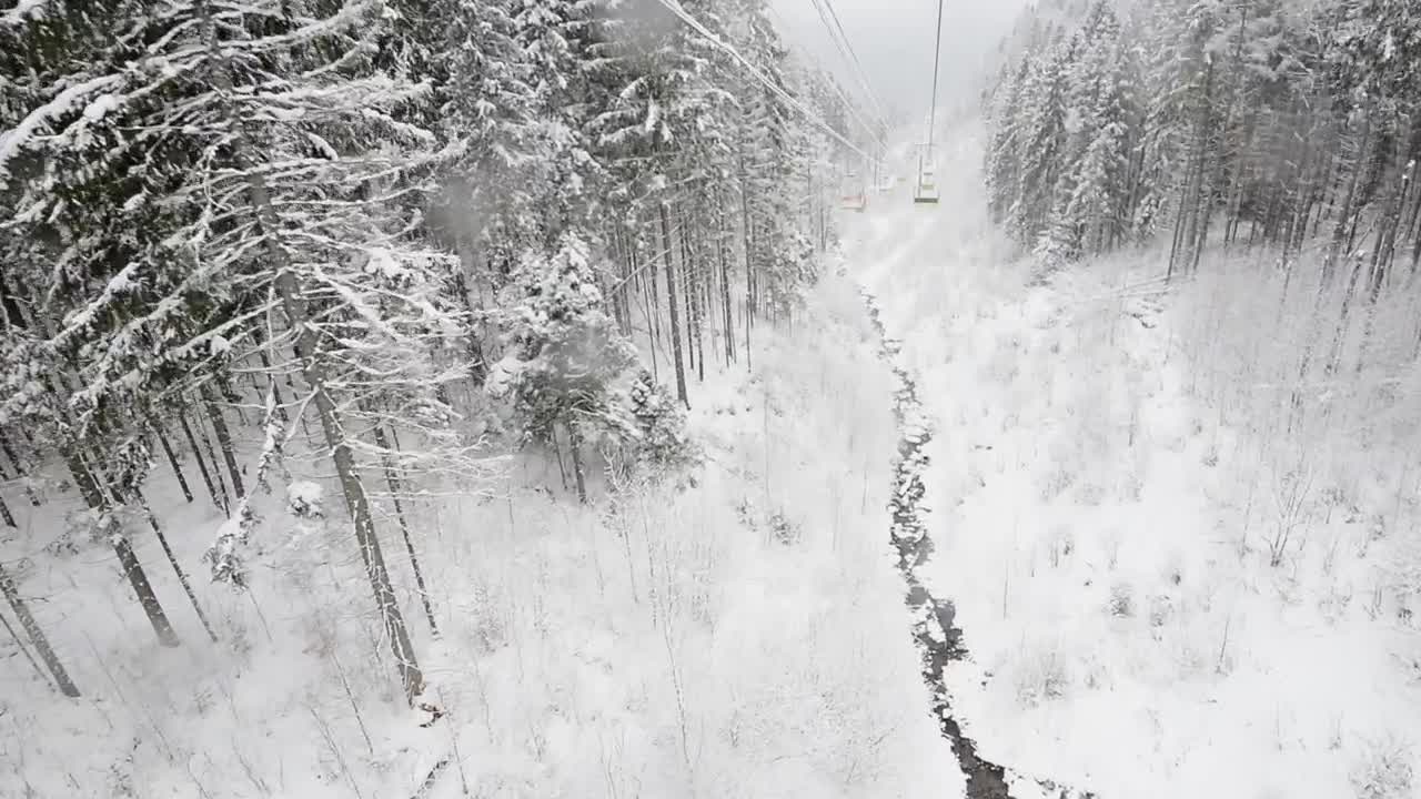 Stock Video Beautiful Frozen Forest Seen From A Ski Station Live Wallpaper For PC