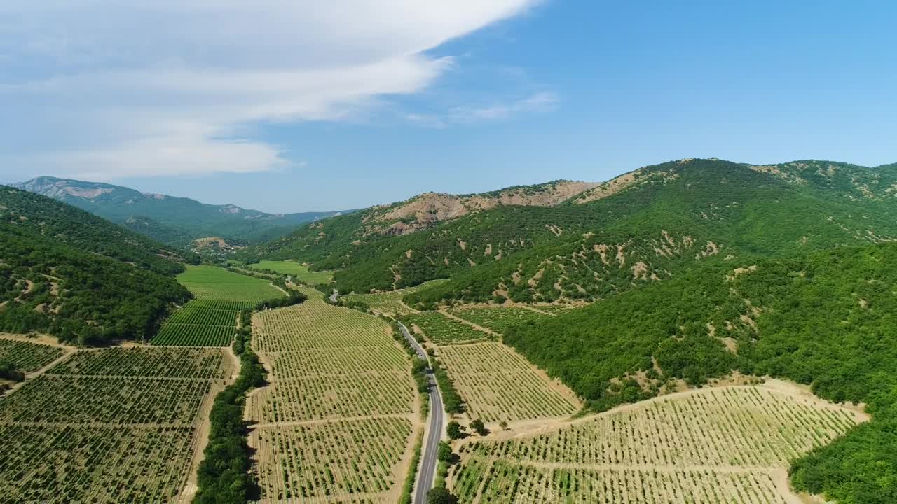 Stock Video Beautiful Fields Of Crops Live Wallpaper For PC