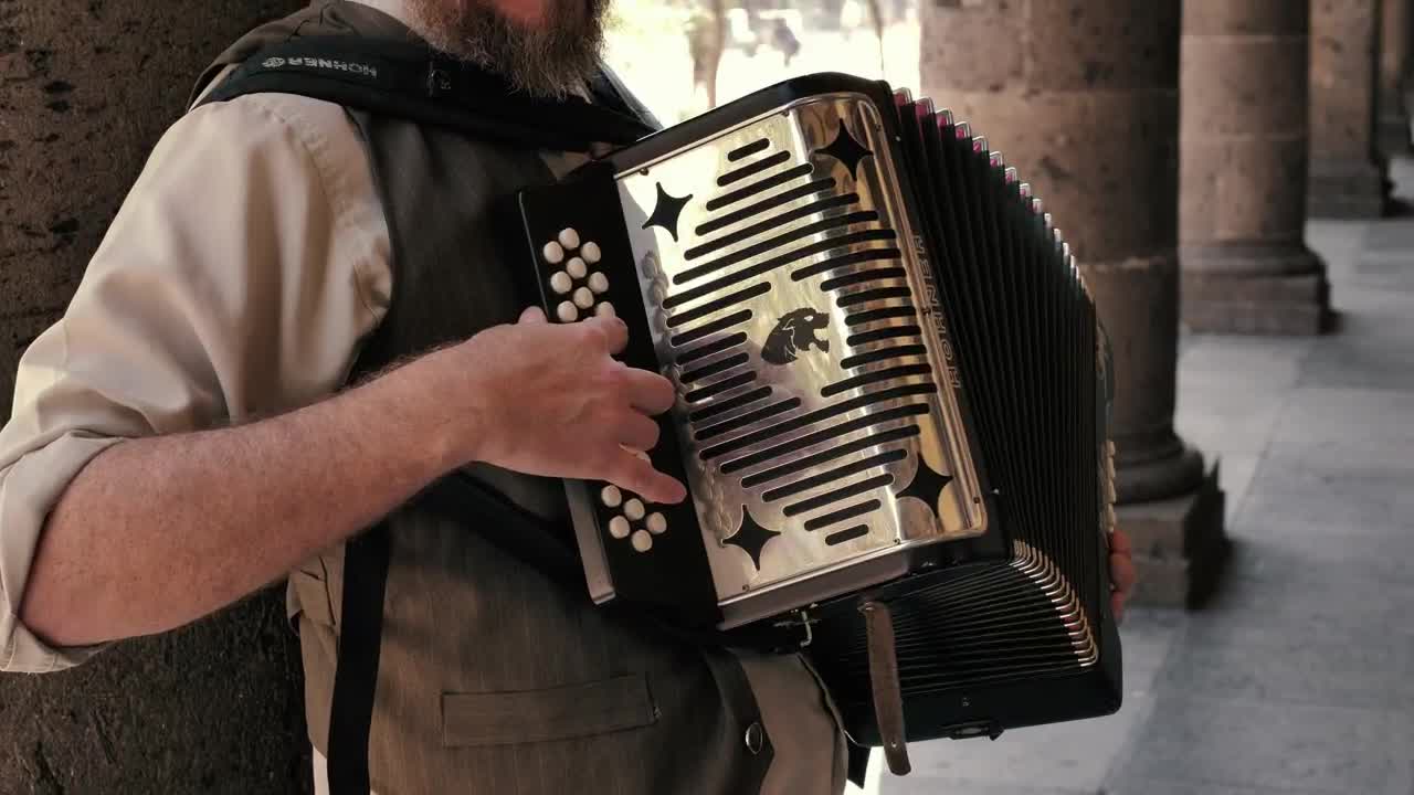 Stock Video Bearded Accordionist Plays The Accordion Live Wallpaper For PC