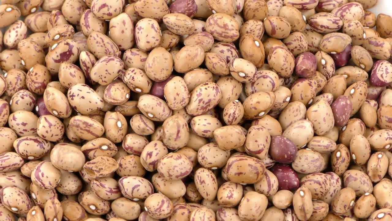 Stock Video Beans In Detail Spinning Shot Live Wallpaper For PC