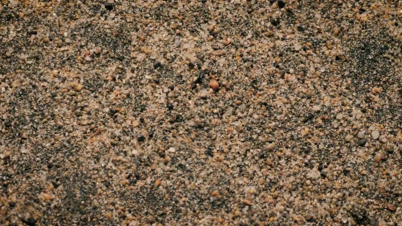 Stock Video Beach Sand Close Up Live Wallpaper For PC