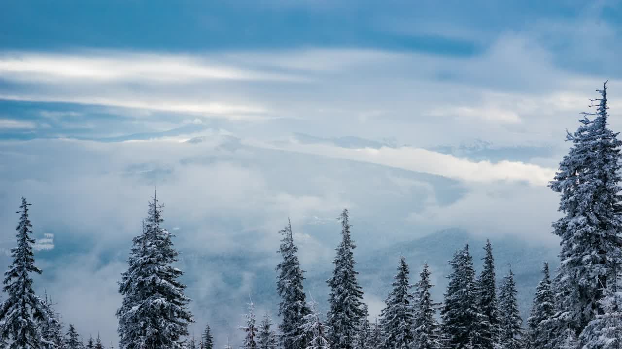 Video Stock Clouds And Fog Covering The View From A Snowy Woods Live Wallpaper For PC