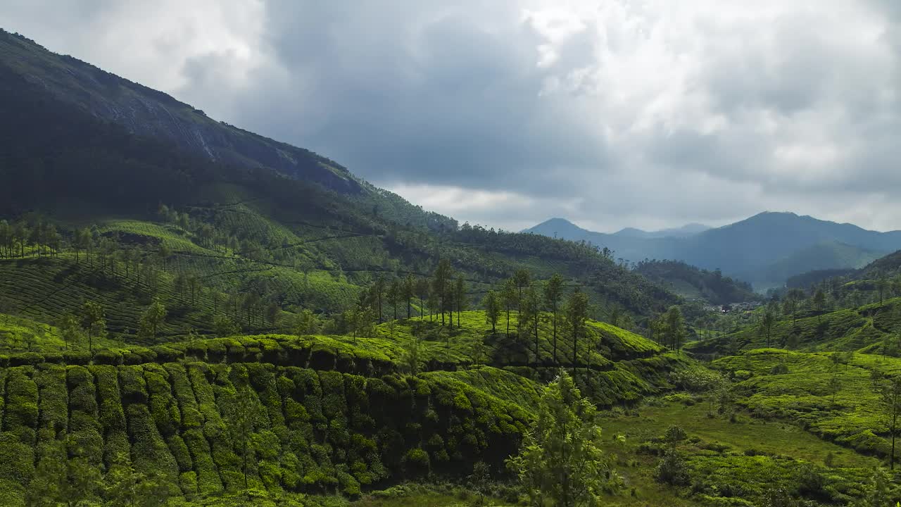 Video Stock Clouds Above A Tea Plantation Live Wallpaper For PC