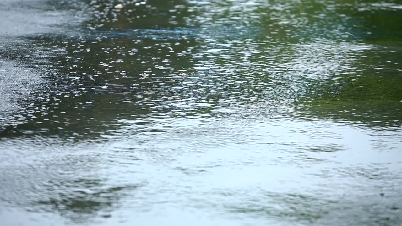 Video Stock Closeup Of Rain In The Asphalt Live Wallpaper For PC