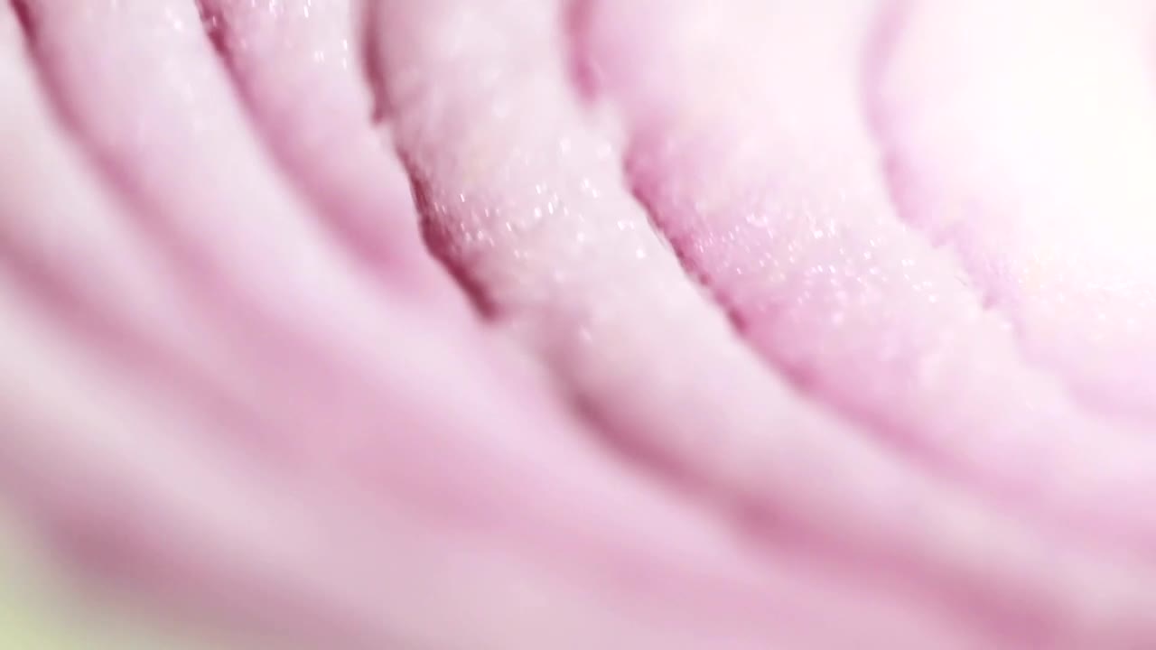 Video Stock Closeup Of An Onion Slice Live Wallpaper For PC