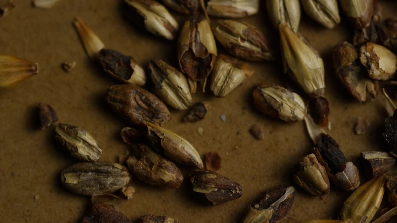 Video Stock Close Up Of Broken Barley Live Wallpaper For PC