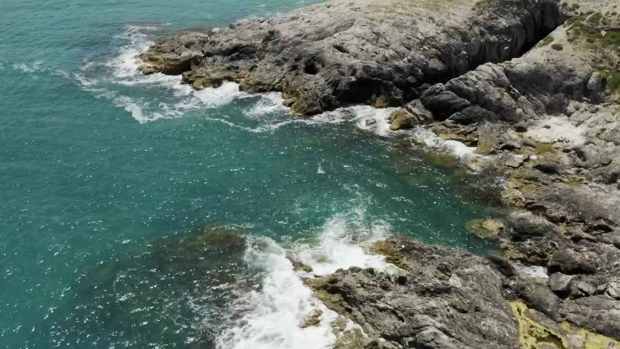 Video Stock Clear Water And Seaweed Covered Rocks Live Wallpaper For PC