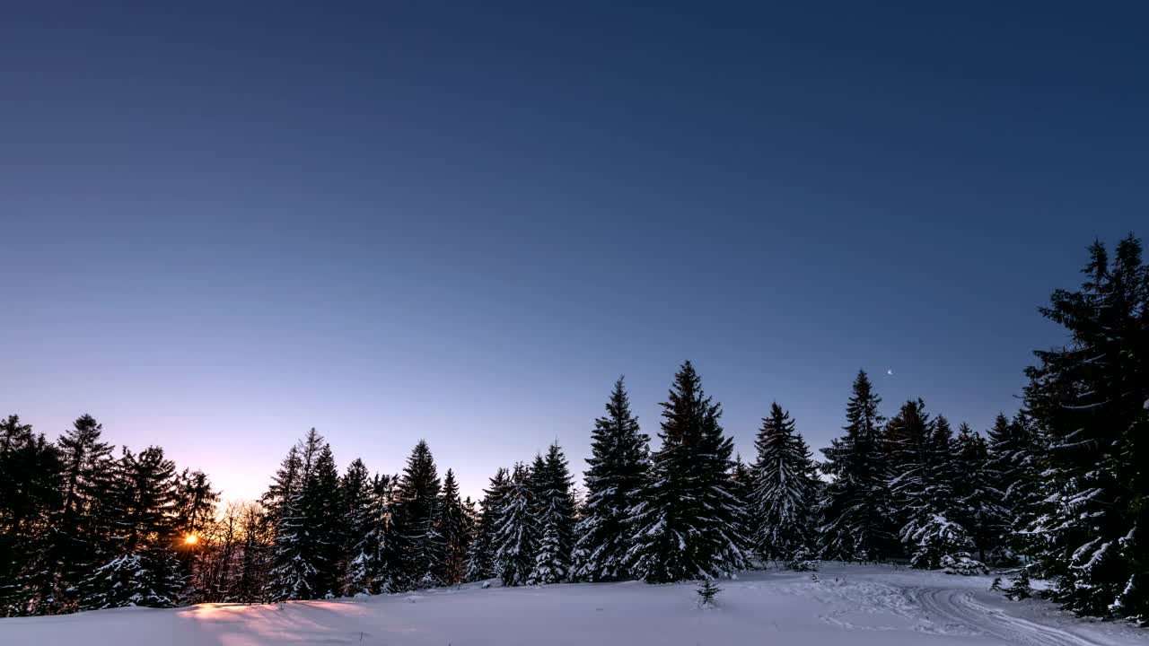 Video Stock Clear Sky At Sunrise In A Forest Live Wallpaper For PC