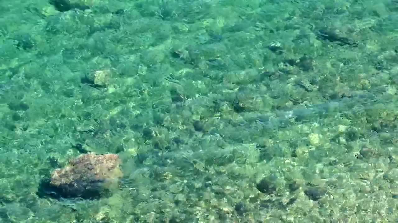 Video Stock Clear Sea Water Live Wallpaper For PC