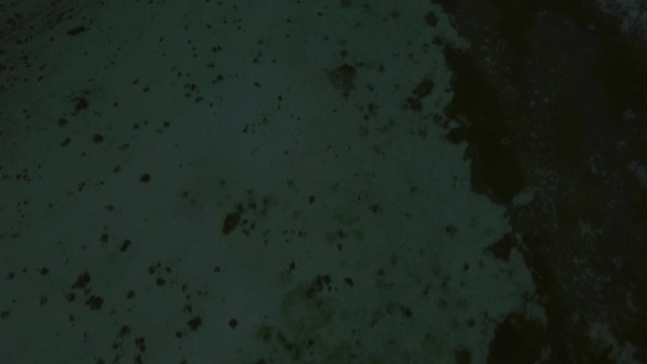 Video Stock Clear Ocean Waters Off Mauritius Island Live Wallpaper For PC