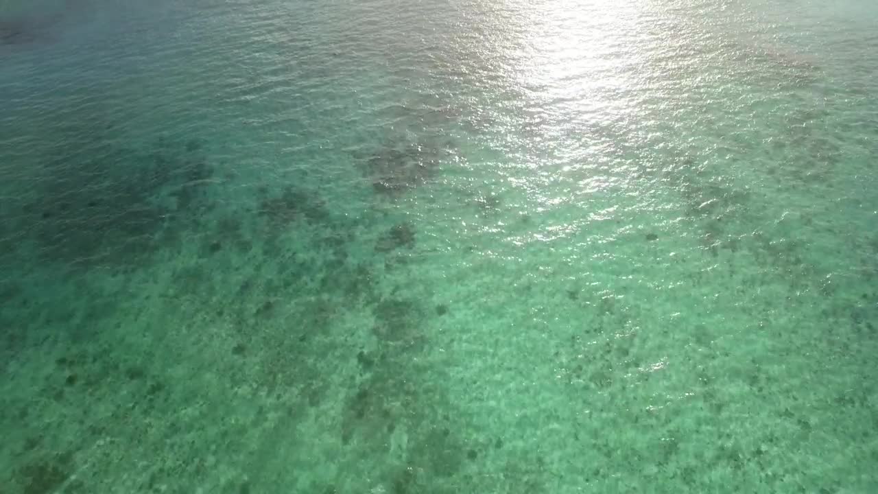Video Stock Clear Emerald Waters Off Mauritius Island Live Wallpaper For PC