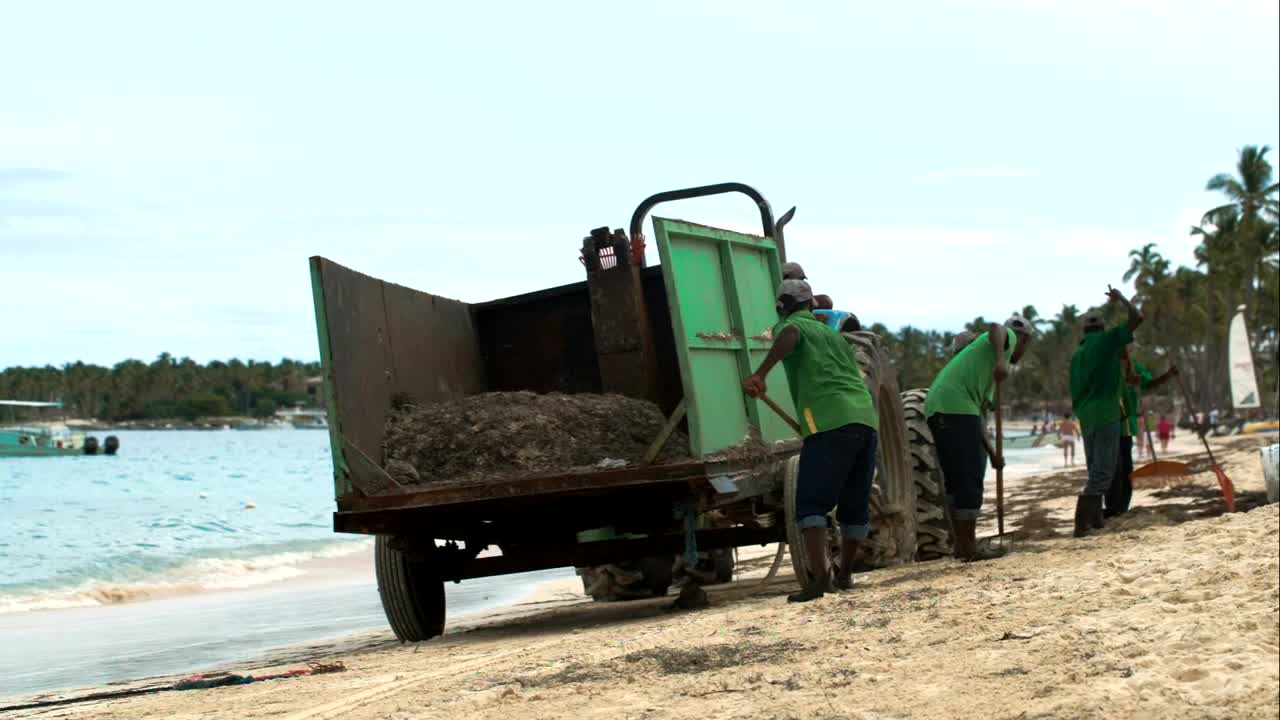 Video Stock Cleaning Up A Beach Live Wallpaper For PC