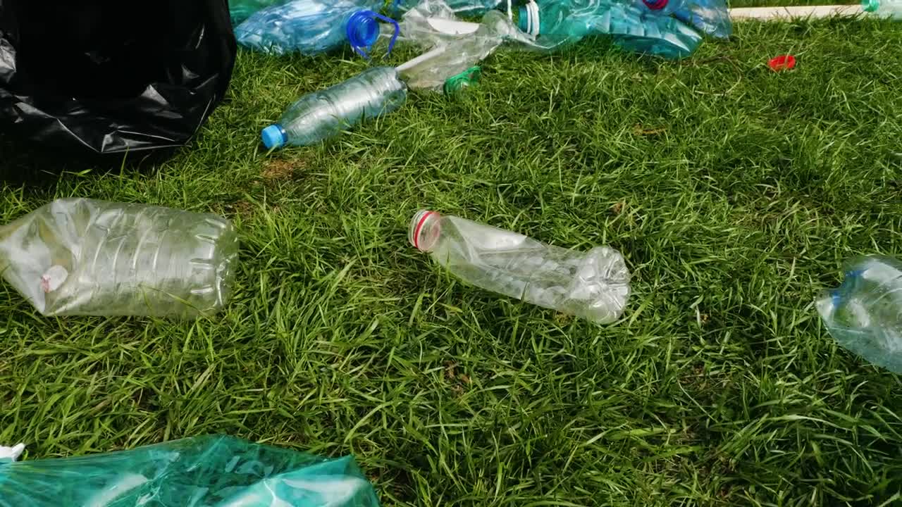 Video Stock Cleaning The Park Grass From Plastic Waste Live Wallpaper For PC