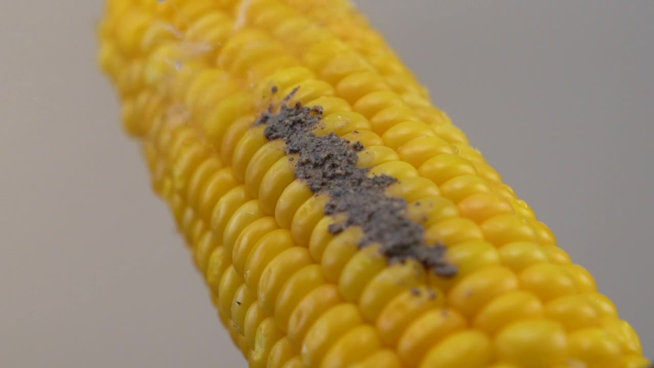 Video Stock Cleaning The Dirt From Corn Live Wallpaper For PC