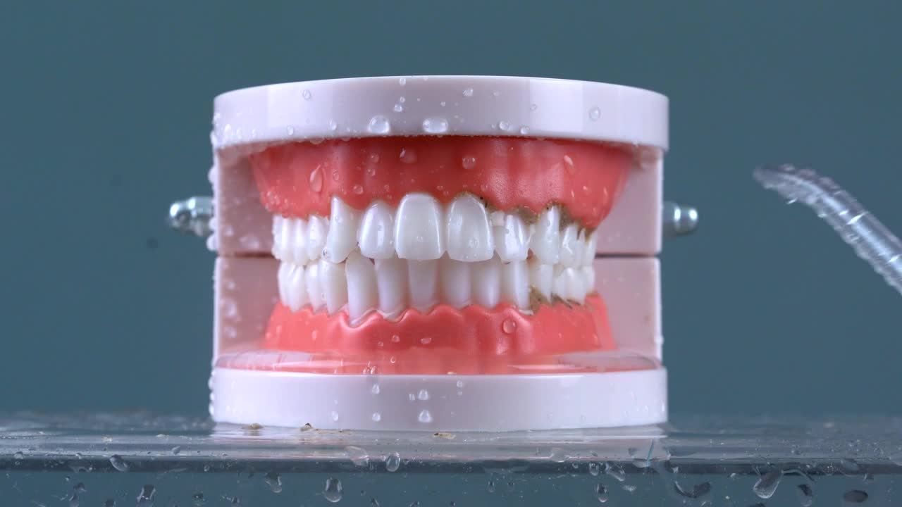 Video Stock Cleaning Fake Teeth With Dentist Irrigator Live Wallpaper For PC