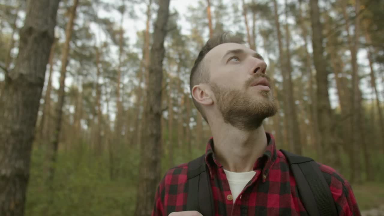 Video Stock Cinematic View Of Man Enjoying Forest Air Live Wallpaper For PC