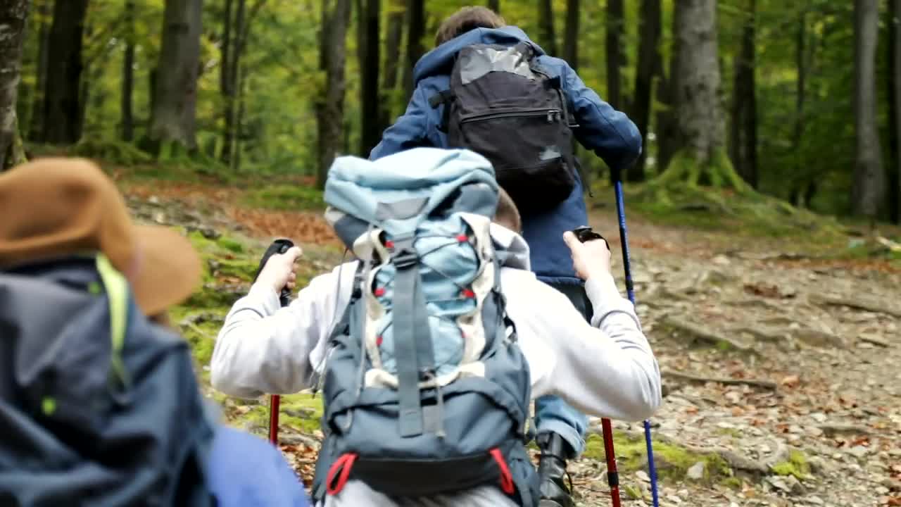 Video Stock Cinematic View Of Friends Hiking Rough Terrain Live Wallpaper For PC